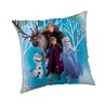 Disney Frozen Family velvet cushion cover 40x40 cm