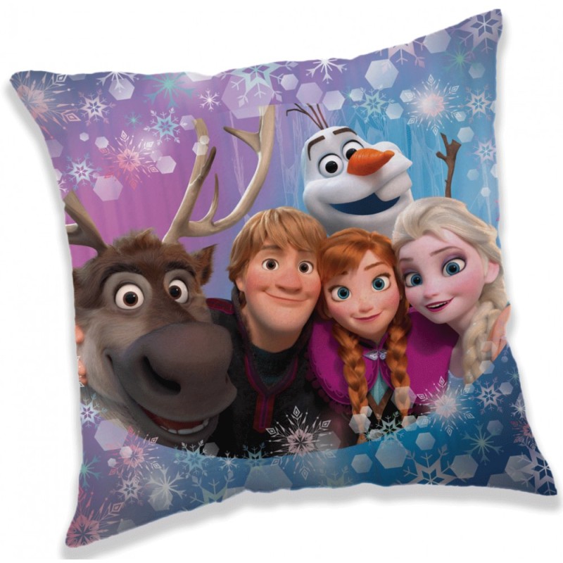 Disney Frozen pillowcase 40*40 cm