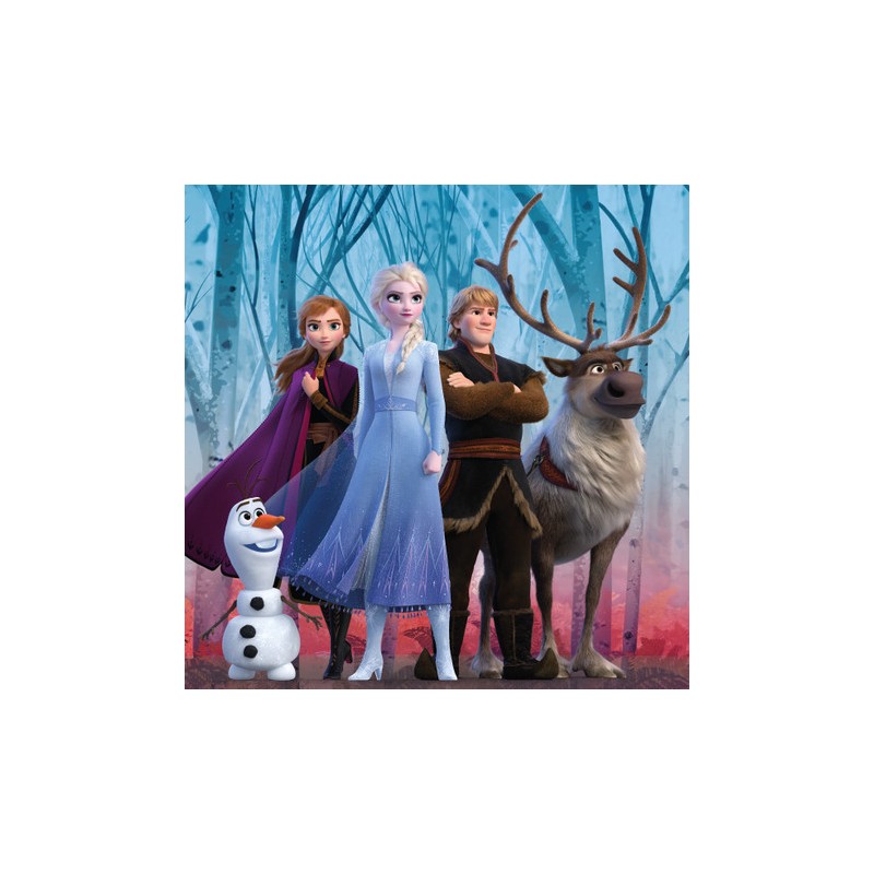 Disney Frozen cushion cover 40*40 cm