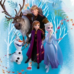 Taie d'oreiller Disney La Reine des Neiges 40*40 cm