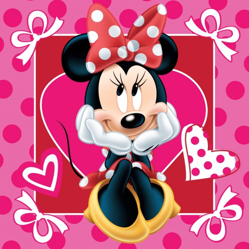 Disney Minnie  pillowcase 40*40 cm