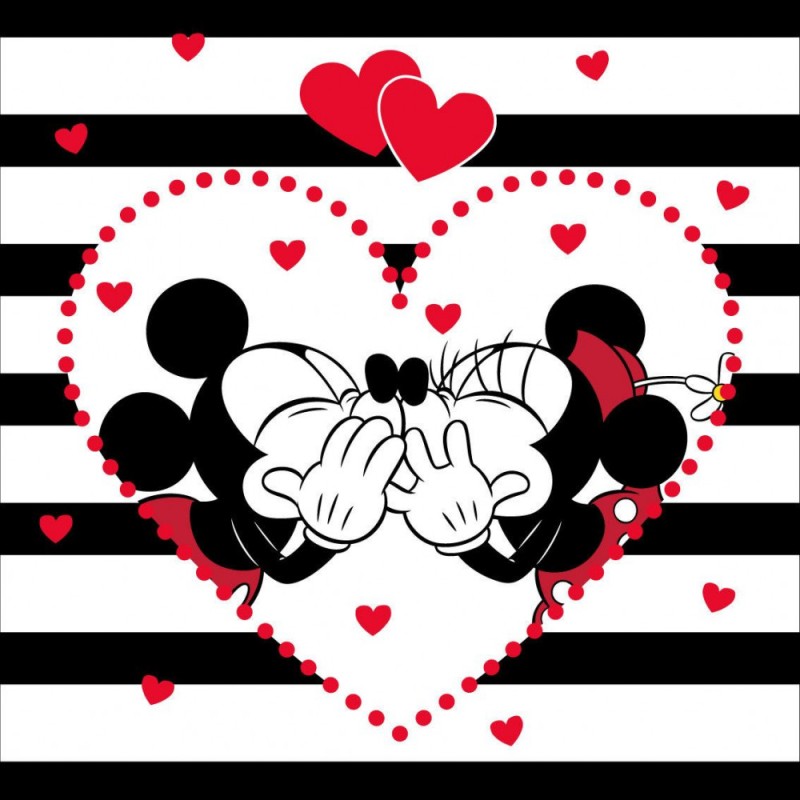 Disney Minnie  pillowcase 40*40 cm