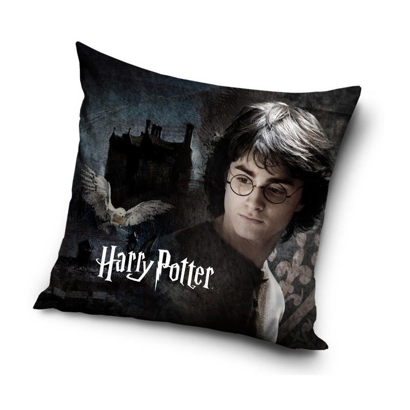 Harry Potter cushion cover 40*40 cm