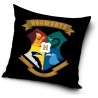 Harry Potter pillowcase 40*40 cm