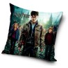 Harry Potter pillowcase 40*40 cm