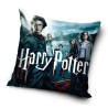 Harry Potter pillowcase 40*40 cm