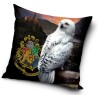 Harry Potter pillowcase 40*40 cm