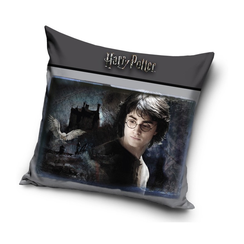 Harry Potter pillow cover 40*40 cm