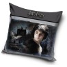 Harry Potter pillow cover 40*40 cm