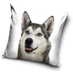 Dog pillow cover 40*40 cm