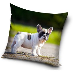 taie d'oreiller pour chien 40*40 cm