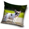 Dog cushion cover 40*40 cm