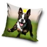 Dog pillowcase 40*40 cm