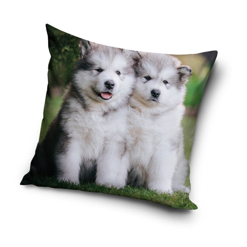 Dog pillowcase 40x40 cm