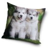 Dog pillowcase 40x40 cm