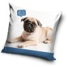 Dog pillowcase 40*40 cm