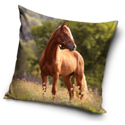 Horses pillowcase 40*40 cm