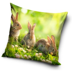 Taie d'oreiller lapin 40*40 cm