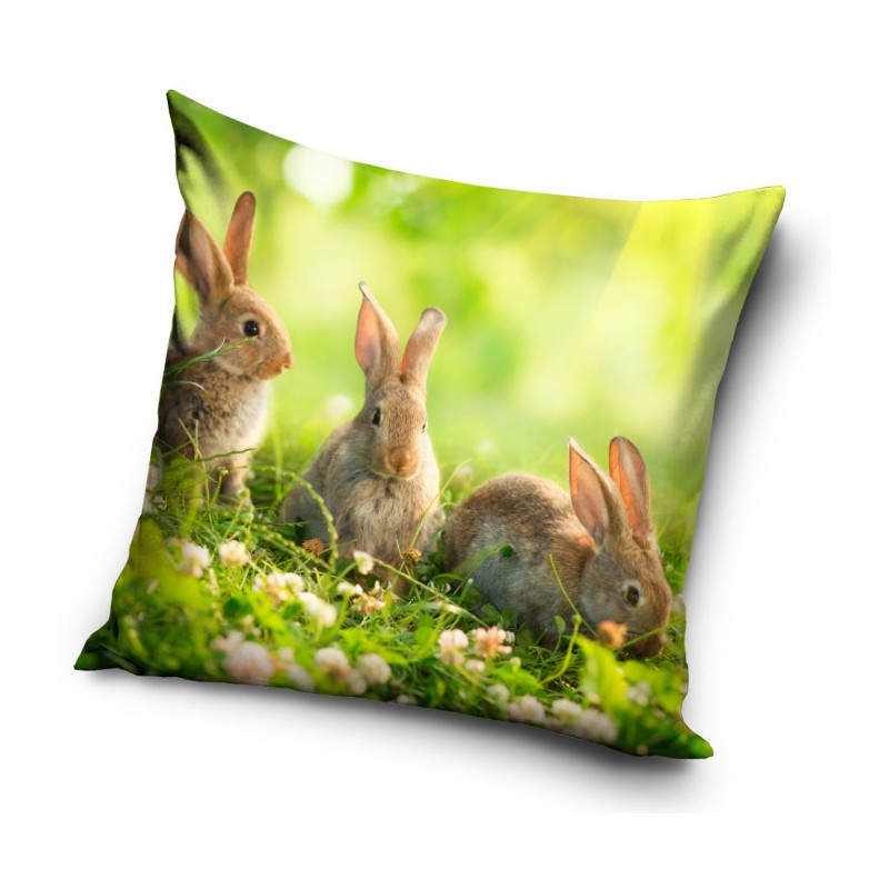 Rabbit pillowcase 40*40 cm