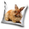 Rabbit pillow cover 40*40 cm