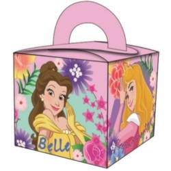 Disney Princess Star gift box, party box