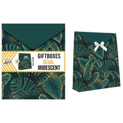 Coffret cadeau irisé de couleur avec feuilles vertes