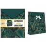 Colour Iridescent Green leaf patterned gift box set of 2