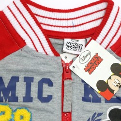 Pull enfant Disney Mickey Crest 3-8 ans