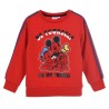 Pull enfant Disney Mickey 3-8 ans