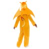 Pokémon Charizard costume 4-6 years