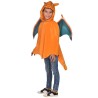 Pokémon Charizard costume 8-12 years