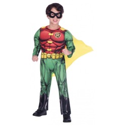 Batman Robin Costume 4-6 Years