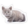 Coussin en forme de chat en frêne, coussin décoratif 40x29 cm