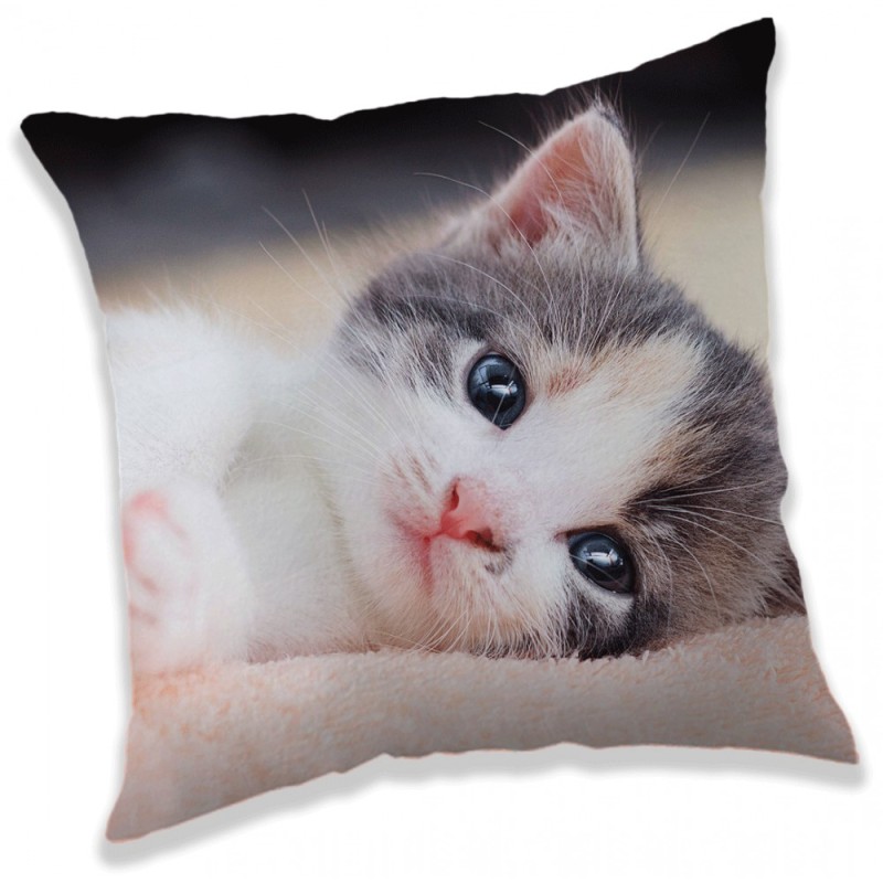 Cat Kitten decorative pillow 40x40 cm