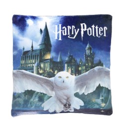 Coussin décoratif déhoussable Harry Potter Hedvig 35x35 cm velours