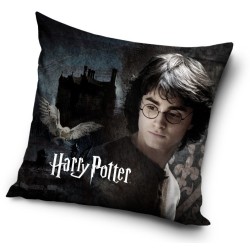 Coussin décoratif Harry Potter 40*40 cm