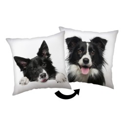 Dog Border Collie decorative pillow 40x40 cm