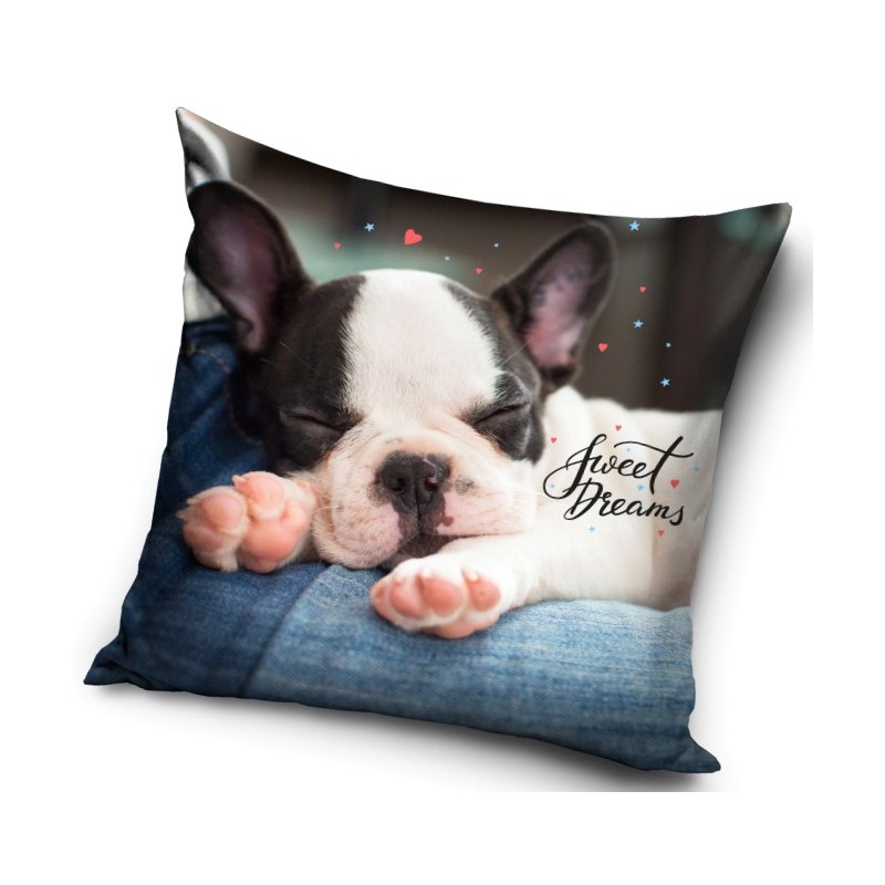 Dog Dreams decorative pillow, 40x40 cm