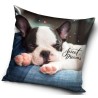 Dog Dreams decorative pillow, 40x40 cm