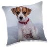 Dog decorative pillow 40*40 cm