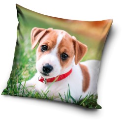 Coussin décoratif chien 40x40 cm