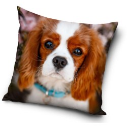 Dog decorative pillow 40x40 cm