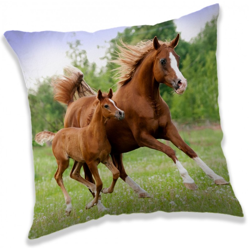 Horses decorative pillow 40*40 cm