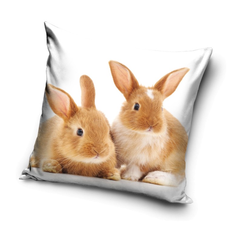 Rabbit pillow, decorative pillow 40*40 cm