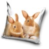 Rabbit pillow, decorative pillow 40*40 cm