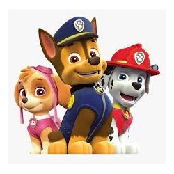 Paw Patrol bed linen 140×200cm, 70×90 cm microfibre