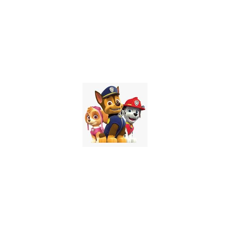 Paw Patrol bed linen 140×200cm, 70×90 cm microfibre