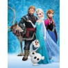 Disney Frozen Ice polar blanket 130x170 cm