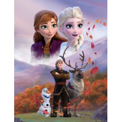 Couverture polaire coupe-vent Disney Frozen 130x170 cm