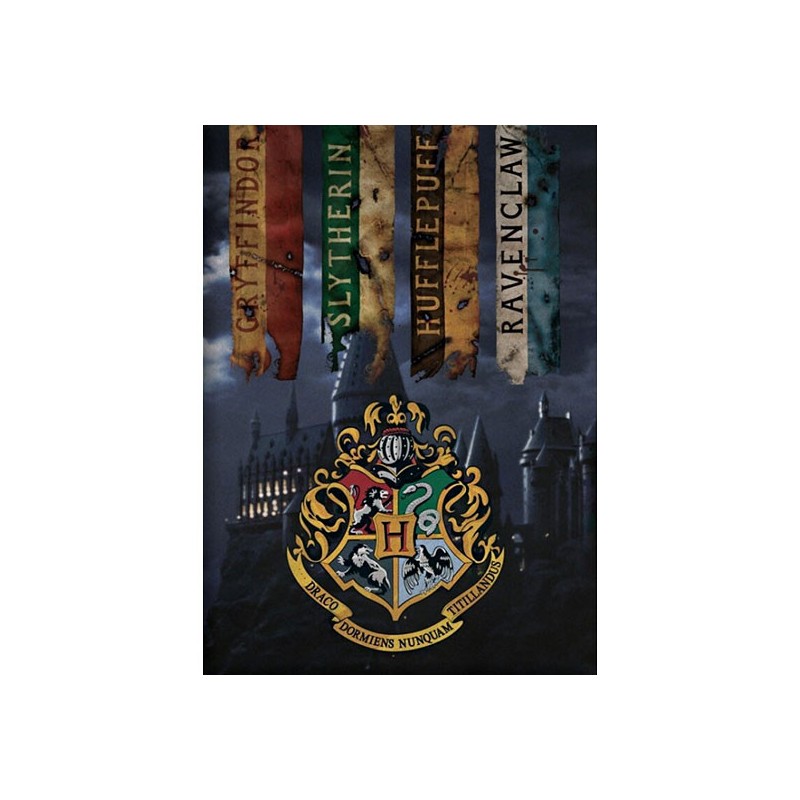 Couverture polaire Maisons Harry Potter 100x140cm